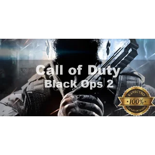 Купить Call of Duty Black Ops II Steam + Почта + Смена данных