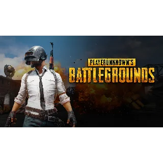 Купить PlayerUnknown's Battlegrounds Steam + Почта