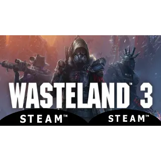 Купить Wasteland 3 - STEAM (Region free) - Лицензия