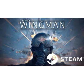 Купить 🛩 Project Wingman - STEAM (Region free)