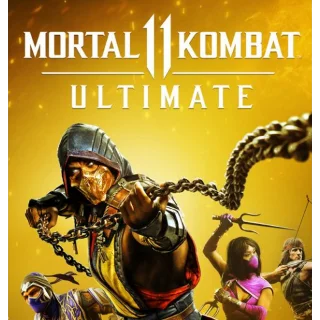 Купить MORTAL KOMBAT 11・ULTIMATE・ВСЕ ПЕРСОНАЖИ・STEAM・PC・