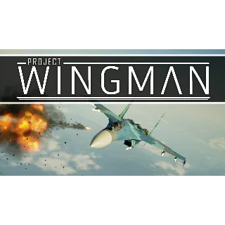 Купить Project Wingman [Steam аккаунт] ✔ на 90 дней