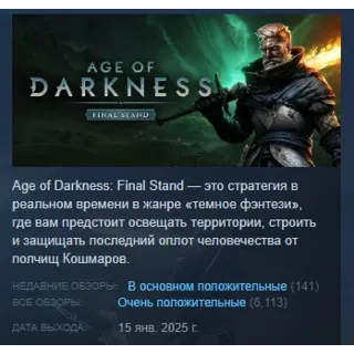 Купить Age of Darkness: Final Stand 💎 STEAM РОССИЯ