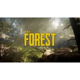 Купить The Forest (БЕЗ АКТИВАТОРА / STEAM ОФФЛАЙН)
