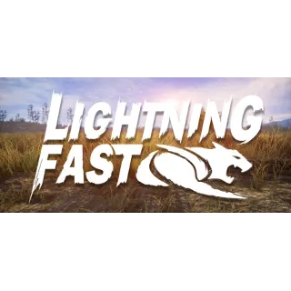 Купить Lightning Fast 💎 АВТОДОСТАВКА STEAM GIFT РОССИЯ