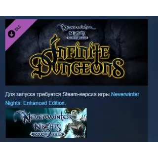 Купить Neverwinter Nights: Infinite Dungeons STEAM GIFT РОССИЯ