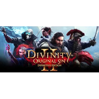 Купить Divinity: Original Sin 2 - Definitive Ed | Region Free