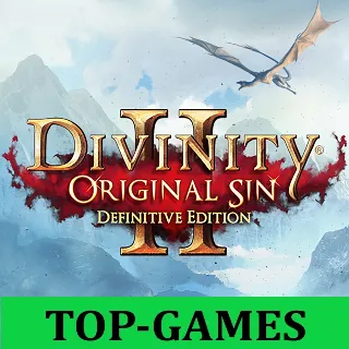 Купить Divinity: Original Sin 2 - Definitive Ed | Region Free