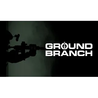 Купить Ground Branch - ОНЛАЙН ✔ ️STEAM Аккаунт ✔ на 30 дней