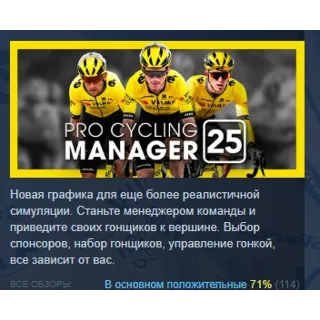 Купить Pro Cycling Manager 25 АВТОДОСТАВКА STEAM РОССИЯ