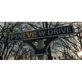 Купить Pineview Drive 💎 АВТОДОСТАВКА STEAM GIFT РОССИЯ