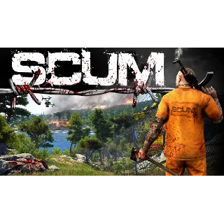 Купить 🔥 SCUM | Steam Россия 🔥