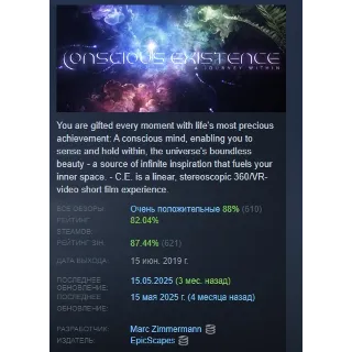 Купить Conscious Existence - A Journey Within STEAM РОССИЯ