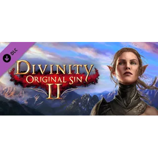Купить Divinity: Original Sin 2 - Divine Ascension - DLC STEAM