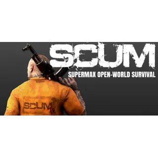 Купить SCUM - STEAM GIFT РОССИЯ