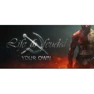 Купить Life is Feudal: Your Own - STEAM GIFT РОССИЯ
