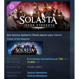 Купить Solasta: Crown of the Magister - Inner Strength STEAM