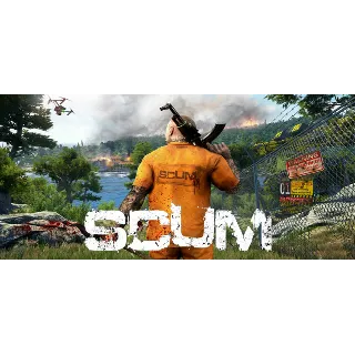 Купить ⭐ ️ SCUM + The Forest + RAFT + Shape of the World[Steam]
