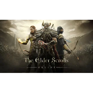 Купить The Elder Scrolls Online ✔ STEAM Аккаунт ✔ на 30 дней