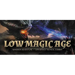 Купить Low Magic Age 💎 АВТОДОСТАВКА STEAM GIFT РОССИЯ