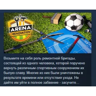 Купить Arena Renovation АВТОДОСТАВКА STEAM GIFT РОССИЯ