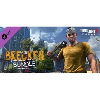 Купить Dying Light 2 - Brecken Skin Bundle - DLC STEAM GIFT РО