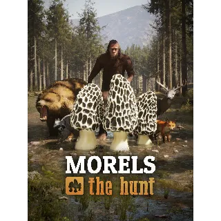 Купить 🔴 Morels: The Hunt ✅ EPIC GAMES 🔴 (PC)