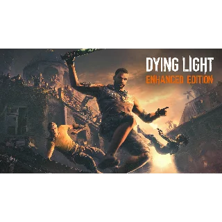 Купить Dying Light: The Following - Enhanced Edit [EPIC GAMES]