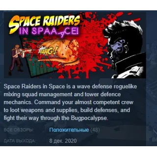 Купить Space Raiders in Space 💎 STEAM KEY РФ+СНГ СТИМ ЛИЦЕНЗИЯ