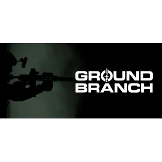 Купить GROUND BRANCH | steam gift РОССИЯ