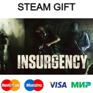 Купить Insurgency | steam gift RU ✅