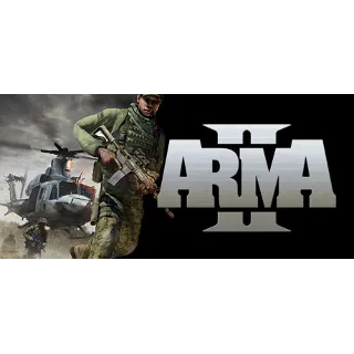 Купить Arma 2 | steam gift RU ✅