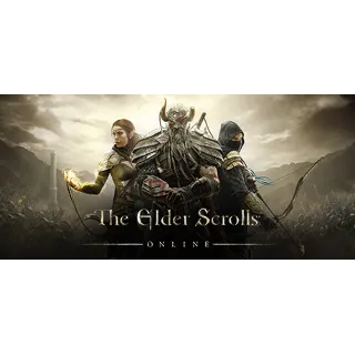 Купить The Elder Scrolls Online Standard Edition - STEAM RU