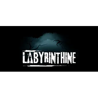 Купить Labyrinthine | steam gift RU ✅