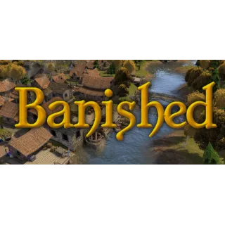 Купить Banished | steam gift RU ✅