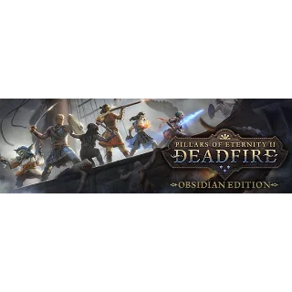 Купить Pillars of Eternity II Deadfire | steam gift RU ✅
