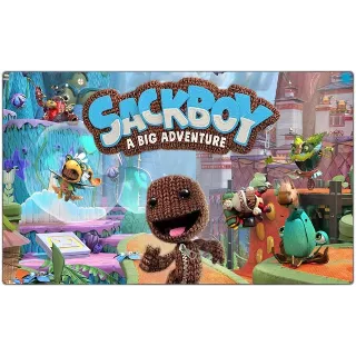 Купить 🌕 Sackboy: A Big Adventure (PS4/PS5/RU) П3 - Активация