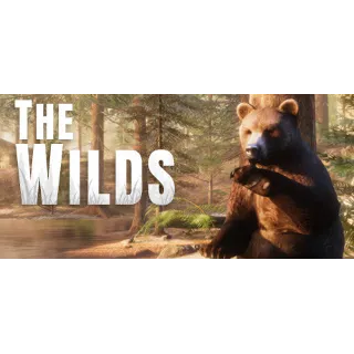 Купить The WILDS 💎 АВТОДОСТАВКА STEAM GLOBAL МГНОВЕННО ЛИЦЕНЗИЯ