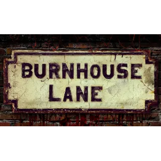 Купить 🔥 Burnhouse Lane | Steam РУ+UA+KZ+СНГ 🔥