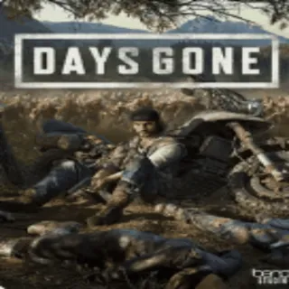 Купить 💚 Days Gone 🎁 STEAM/СТИМ GIFT 💚 ТУРЦИЯ | ПК