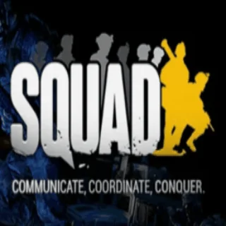 Купить 💚 Squad 🎁 STEAM/СТИМ GIFT 💚 ТУРЦИЯ | ПК