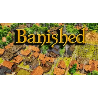 Купить Banished ✔ ️STEAM Аккаунт ✔ на 90 дней