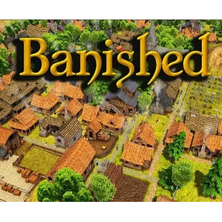 Купить Banished ✔ ️STEAM Аккаунт