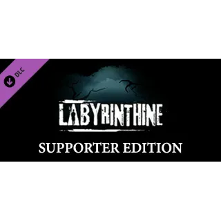 Купить Labyrinthine Supporter Edition 💎 DLC STEAM GIFT РОССИЯ