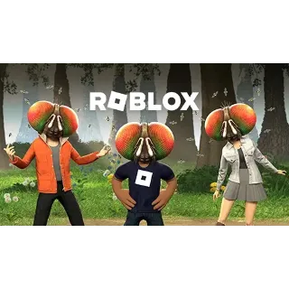 Купить 🧙 ‍ ♂ ️ ROBLOX 🧙 ‍ ♂ ️ ✨ Freaky Fly Face ✨ Код