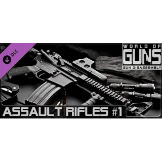 Купить World of Guns: Assault Rifles Pack #1 АВТОДОСТАВКА STEAM РОССИЯ