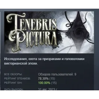 Купить Tenebris Pictura АВТОДОСТАВКА STEAM GLOBAL МГНОВЕННО ЛИЦЕНЗИЯ