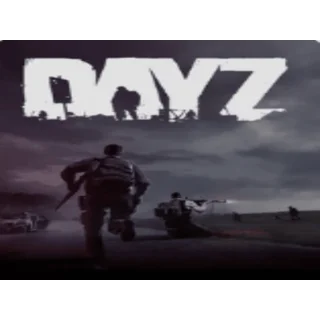 Купить 💚 DayZ 🎁 STEAM/СТИМ GIFT 💚 ТУРЦИЯ | ПК