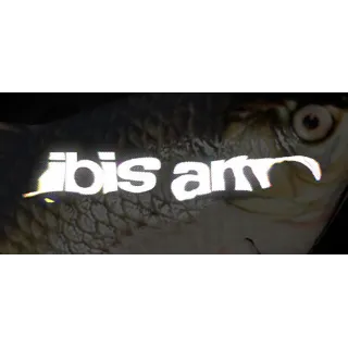 Купить IBIS AM 💎 АВТОДОСТАВКА STEAM GLOBAL МГНОВЕННО ЛИЦЕНЗИЯ