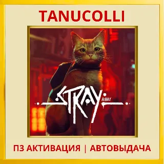 Купить ☀ ️ Stray (PS4/PS5/RU) П3 - Активация